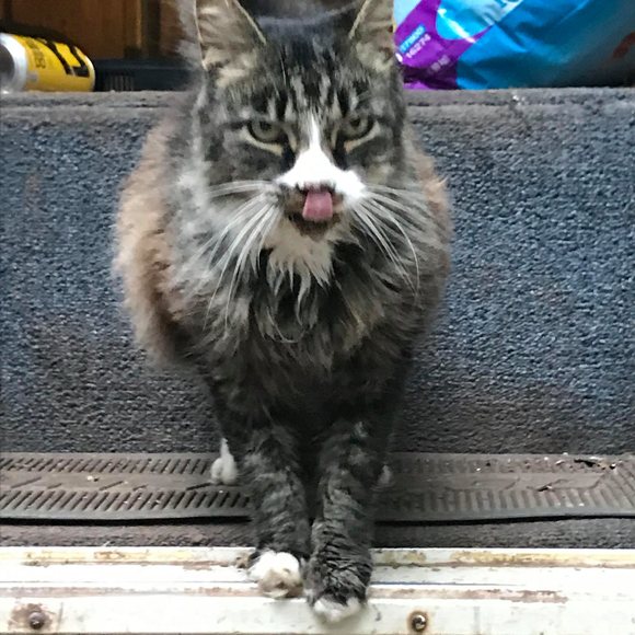 Meet your Posher, John - Picture 1 of 1